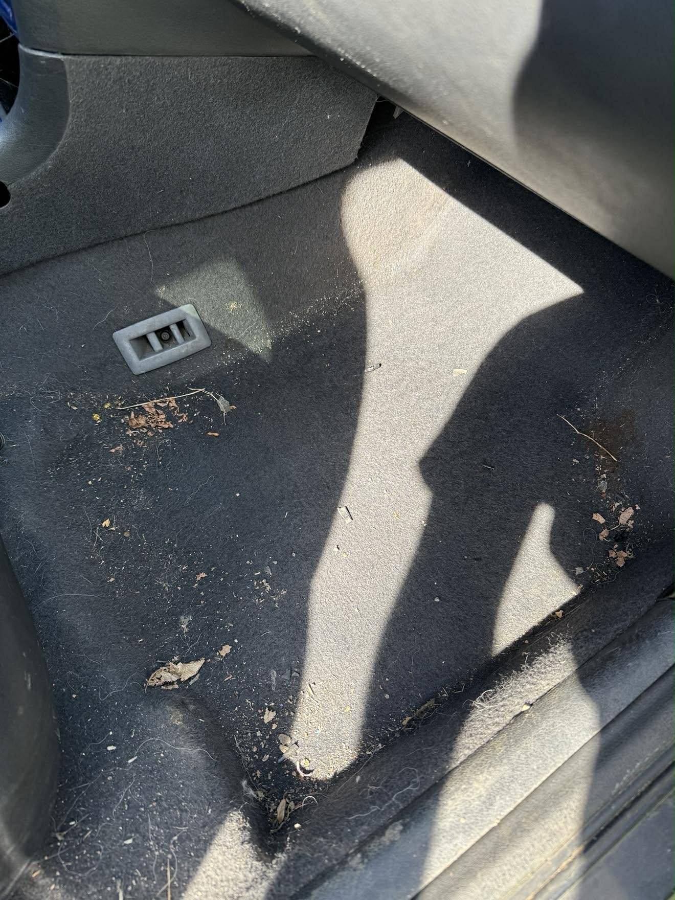 Čištění auta Před